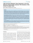 Research paper thumbnail of Light Entrained Rhythmic Gene Expression in the Sea Anemone Nematostella vectensis: The Evolution of the Animal Circadian Clock