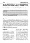 Research paper thumbnail of Fracture strength of flared bovine roots restored with different intraradicular posts