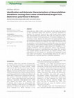 Research paper thumbnail of Identification and Molecular Characterizations of Neoscytalidium dimidiatum Causing Stem Canker of Red-fleshed Dragon Fruit (Hylocereus polyrhizus) in Malaysia