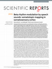 Research paper thumbnail of Beta rhythm modulation by speech sounds: somatotopic mapping in somatosensory cortex