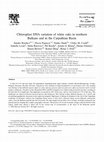 Research paper thumbnail of Chloroplast DNA variation of white oaks in northern Balkans and in the Carpathian Basin