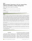 Research paper thumbnail of White Sturgeon Spawning in the San Joaquin River, California, and Effects of Water Management