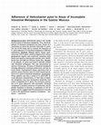 Research paper thumbnail of Adherence of Helicobacter pylori to areas of incomplete intestinal metaplasia in the gastric mucosa