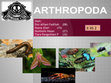 Research paper thumbnail of PPT Arthropoda.pptx