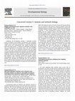 Research paper thumbnail of Mapping spatiotemporal gene regulatory networks in the Arabidopsis root stele