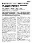 Research paper thumbnail of Protein tyrosine kinase PYK2 involved in Ca2+-induced regulation of ion channel and MAP kinase functions