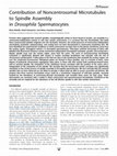 Research paper thumbnail of Contribution of Noncentrosomal Microtubules to Spindle Assembly in Drosophila Spermatocytes