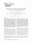 Research paper thumbnail of Stem Cell Factor Can Stimulate the Formation of Eosinophils by Two Types of Murine Eosinophil Progenitor Cells