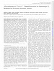 Research paper thumbnail of Muscarinic Enhancement of Persistent Sodium Current Synchronizes Striatal Medium