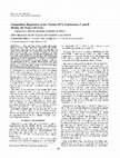 Research paper thumbnail of Independent Regulation of the Nuclear RNA Polymerases I and II during the Yeast Cell Cycle