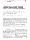 Research paper thumbnail of A taxonomic review of the catfish identified as Glyptothorax zanaensis (Teleostei: Siluriformes: Sisoridae), with the descriptions of two new species