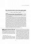 Research paper thumbnail of The materno-fetal interface in llama (Lama guanicoe glama)