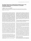 Research paper thumbnail of The Entire Trajectories of Single Olivocerebellar Axons in the Cerebellar Cortex and their Contribution to Cerebellar Compartmentalization