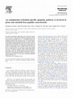 Research paper thumbnail of An endoplasmic-reticulum-specific apoptotic pathway is involved in prion and amyloid-beta peptides neurotoxicity