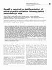 Research paper thumbnail of Smad3 is required for dedifferentiation of retinal pigment epithelium following retinal detachment in mice