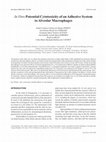 Research paper thumbnail of In Vitro Potential Cytotoxicity of an Adhesive System to Alveolar Macrophages