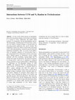 Research paper thumbnail of Interactions between CCM and N 2 fixation in Trichodesmium