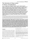 Research paper thumbnail of The Genomes of Oryza sativa: A History of Duplications