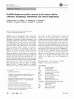 Research paper thumbnail of NADPH-diaphorase-positive neurons in the human inferior colliculus: morphology, distribution and clinical implications