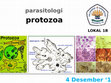 Research paper thumbnail of Parasit protozoa