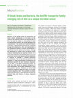 Research paper thumbnail of Of blood, brains and bacteria, the Amt/Rh transporter family: emerging role of Amt as a unique microbial sensor