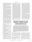 Research paper thumbnail of Thymidine Phosphorylase Gene Mutations in MNGIE, a Human Mitochondrial Disorder