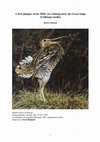 Research paper thumbnail of A first glimpse of the MHC of a lekking bird, the Great Snipe (Gallinago media)