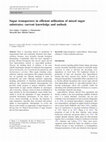 Research paper thumbnail of Sugar transporters in efficient utilization of mixed sugar substrates: current knowledge and outlook