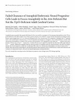 Research paper thumbnail of Failed clearance of aneuploid embryonic neural progenitor cells leads to excess aneuploidy in the Atm-deficient but not the Trp53-deficient adult cerebral cortex