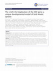 Research paper thumbnail of The c.429_452 duplication of the ARX gene: a unique developmental-model of limb kinetic apraxia