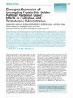 Research paper thumbnail of Dimorphic expression of uncoupling protein-3 in golden hamster harderian gland: Effects of castration and testosterone administration