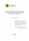 Research paper thumbnail of COORDENAÇÃO HIDROTÉRMICA DE MÉDIO PRAZO USANDO UMA FUNÇÃO DE PRODUÇÃO HIDROELÉTRICA MÚLTIPLA