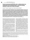 Research paper thumbnail of Human postnatal dental pulp cells co-differentiate into osteoblasts and endotheliocytes: a pivotal synergy leading to adult bone tissue formation