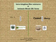 Research paper thumbnail of Inter-Kingdom Intimate Fiber Blends