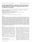 Research paper thumbnail of Phosphorylated MAP1B is induced in central sprouting of primary afferents in response to peripheral injury but not in response to rhizotomy