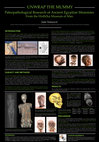 Research paper thumbnail of Tomsová, J. UNWRAP THE MUMMY. Paleopathological Research of Ancient Egyptian Mummies from the Hrdlička Museum of Man. PeCla (Perspectives of Classical Archaeology) 2016. 1th - 2nd December 2016. Institute of Classical Archaeology, Faculty of Arts, Charles University, Prague.