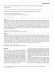 Research paper thumbnail of Hallucinogen Rating Scale (HRS)-Versão brasileira: tradução e adaptação transcultural; Hallucinogen Rating Scale (HRS)-A Brazilian version: translation and cross- …