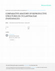 Research paper thumbnail of Comparative Anatomy of Reproductive Structures in Cyclanthaceae (Pandanales)