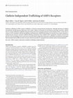 Research paper thumbnail of Clathrin-independent trafficking of AMPA receptors