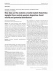 Research paper thumbnail of New data on the endemic cricetid rodent Holochilus lagigliai from central-western Argentina: fossil record and potential distribution