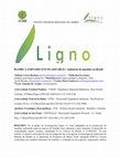 Research paper thumbnail of Bambu Laminado Encolado (BLE) -­ industria de muebles en Brasil