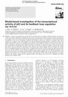 Research paper thumbnail of Model-based investigation of the transcriptional activity of p53 and its feedback loop regulation via 14-3-3σ