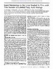 Research paper thumbnail of Lipid Metabolism in the Liver Studied In Vivo with Two Isomers of Labeled Fatty Acid Analogs