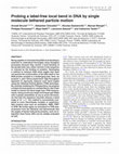 Research paper thumbnail of Probing a label-free local bend in DNA by single molecule tethered particle motion