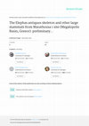 Research paper thumbnail of The Elephas antiquus skeleton and other large mammals from Marathousa 1 site (Megalopolis Basin, Greece): preliminary results on taxonomy, biochronology, palaeo-ecology and taphonomy