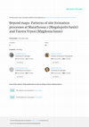 Research paper thumbnail of Beyond maps: Patterns of site formation processes at Marathousa 1 (Megalopolis basin) and Tsiotra Vryssi (Mygdonia basin)
