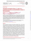 Research paper thumbnail of Translation elongation factor 1-α gene as a potential taxonomic and identification marker in dermatophytes