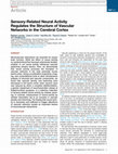 Research paper thumbnail of Sensory-related neural activity regulates the structure of vascular networks in the cerebral cortex