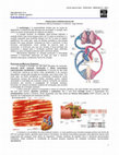 Research paper thumbnail of FISIOLOGIA II 03 Fisiologia cardiovascular MED RESUMOS