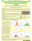 Research paper thumbnail of Quali-Quantitative Characterization of a Hulled Wheat Collection: 2. Spelt